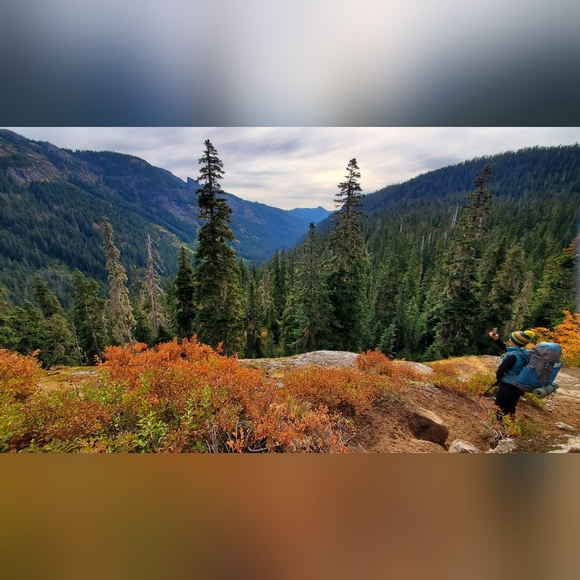 Meet your Posher, Sabrina - Picture 1 of 8